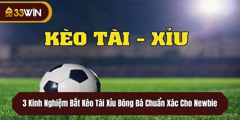 3 Kinh Nghiệm Bắt Kèo Tài Xỉu Bóng Đá Chuẩn Xác Cho Newbie