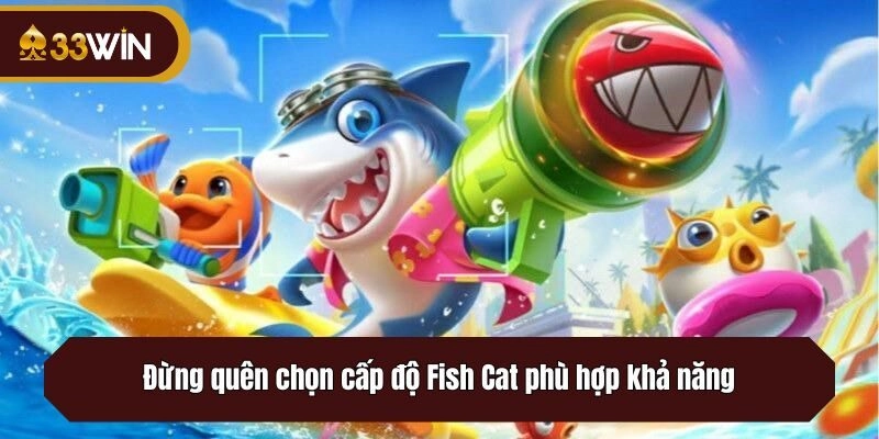Đừng quên chọn cấp độ Fish Cat phù hợp khả năng