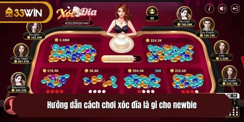 Hướng dẫn cách chơi xóc đĩa là gì cho newbie